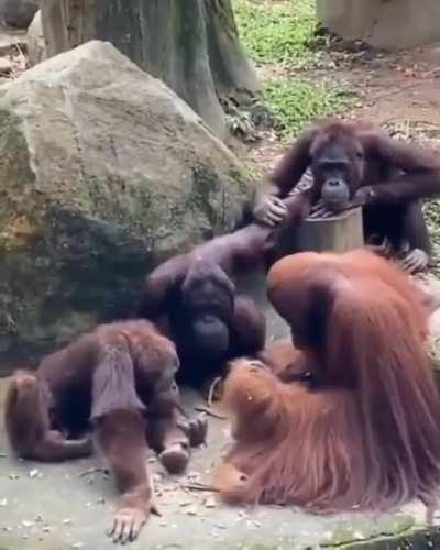 At the 5th second, the hand gesture of the back: 