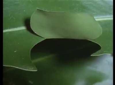 Caterpillar creates place to hide so predators can't kill while it eats