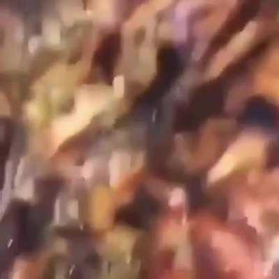 Cooking with the boys