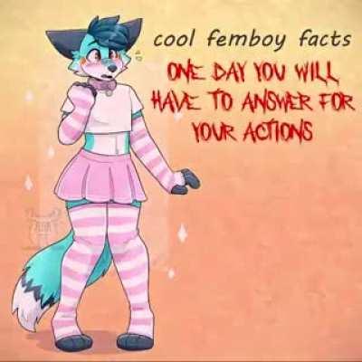 Cool Femboy facts!