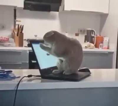 Help checking emails