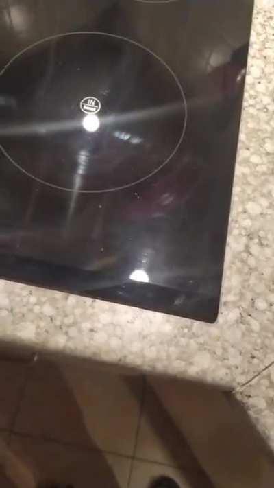 Ah yes, the common house spider.