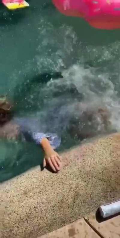 Girl Trying to Catch a Can Failed Miserably....