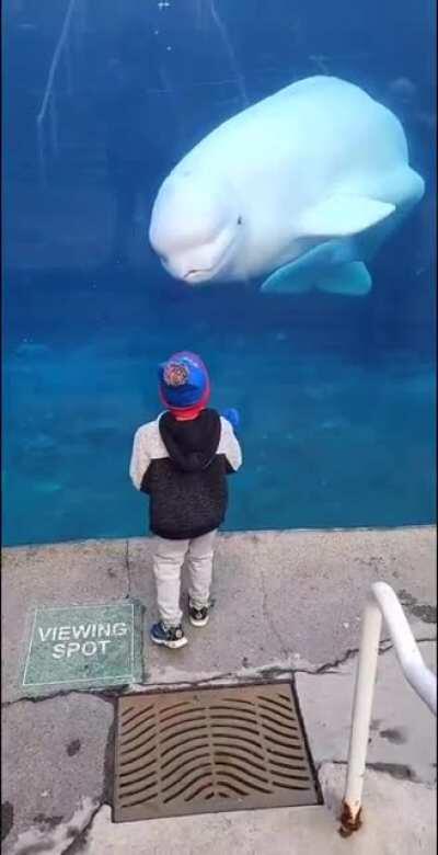 When you're arguing with someone bigger than you