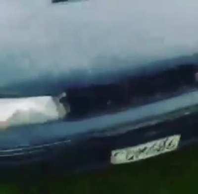 Mans been playing a lot of Forza