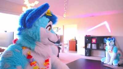 Fluke Without Context Pt3