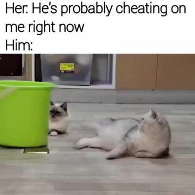 Saw this and I thought it'd fit here.