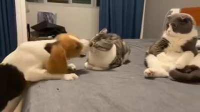 What Is Going On With You Two