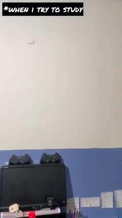 *whenever I try to study