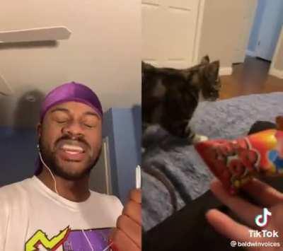 I found this adorable and odd at the same time (I’ll take it down if it’s not fixed)