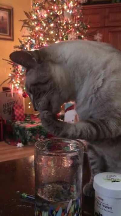 Well... guess I need a new glass of water