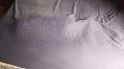 To hide from the owners :)