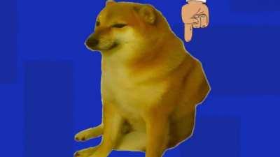 Agent cheems on duty