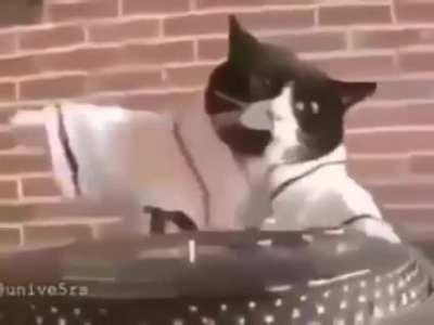 I don't have a clever title for this