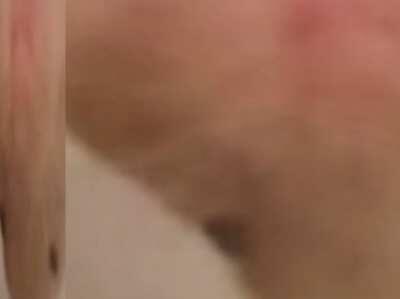 free no punjabj fhny hamster