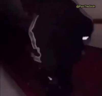 when bruce and blue met up