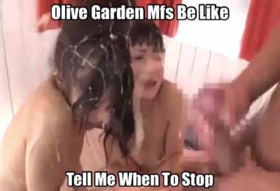 Olive Garden mfs