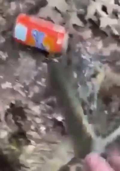 cake or soda (but with gunshot)