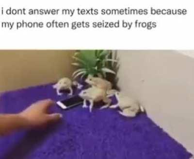 The frogs cant keep getting away with this!