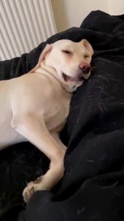 What do you think he was dreaming about?