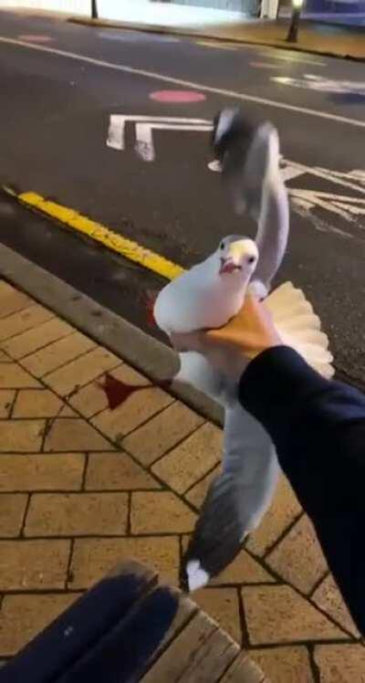 This sound fits perfectly