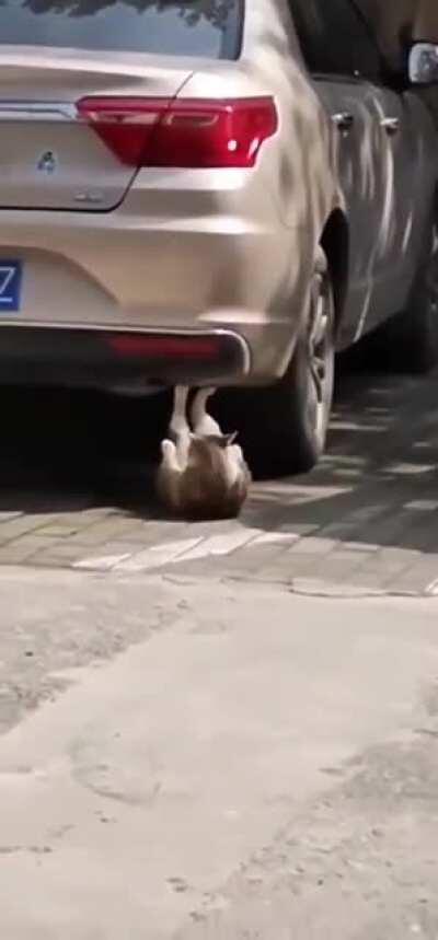 Working on that summer body