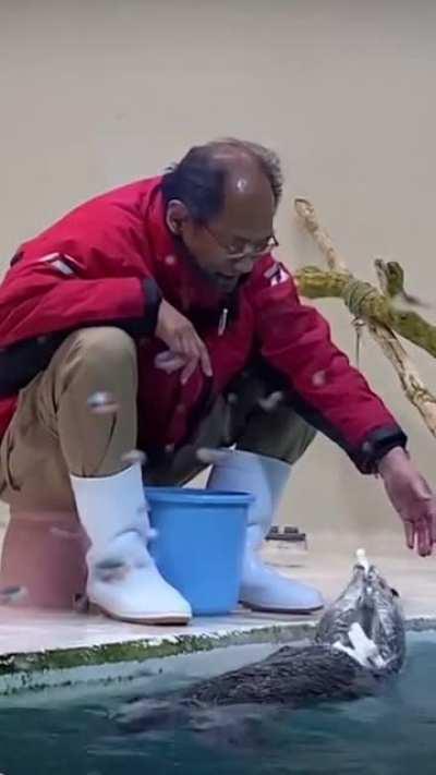Lovely man playing with an otter at the zoo.
