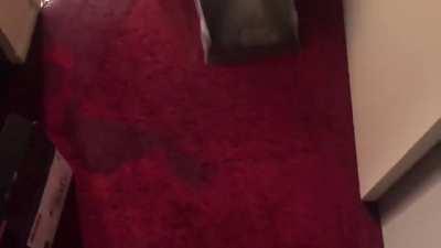 Rumor has it they are still vacuuming that floor to this very day.