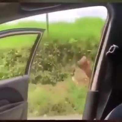 No matter what Language you know exactly what he is saying!