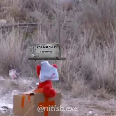 You will die in 5 seconds meme