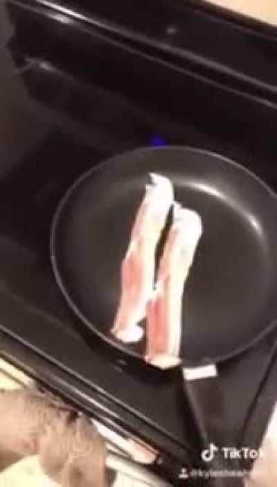 idk if jakertown has seen this