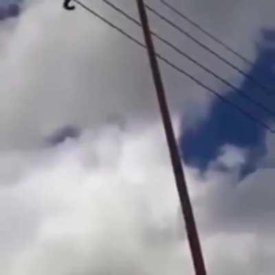 Pal negroide del admin