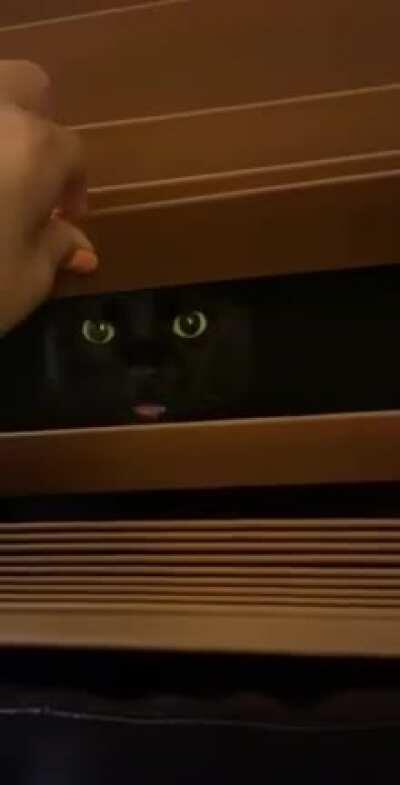 The black beyond the blinds