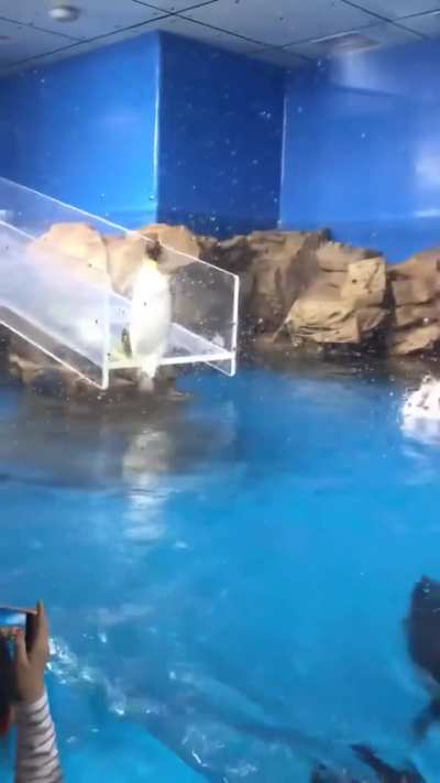 Bro embarrassed himself in front of his whole gang and family