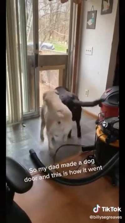 To build a doggy door