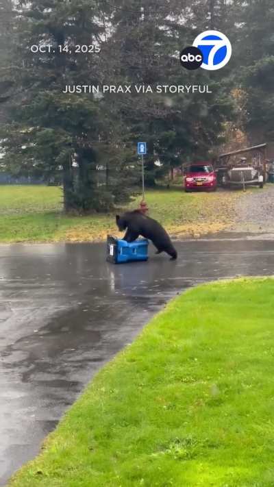 Practicing CPR!🤣🧸❤️