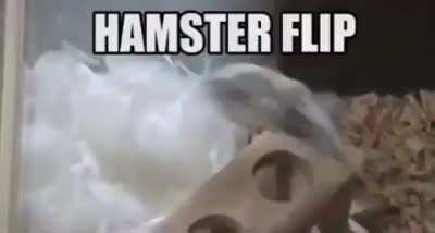 Hamster Flip!