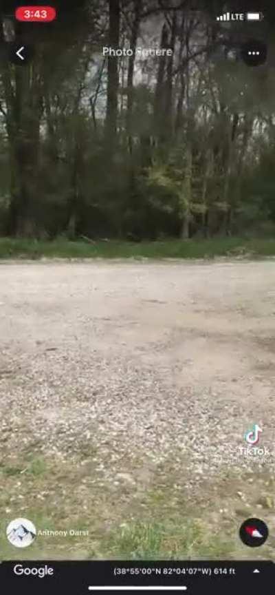 If Mothman Brought Presents We would all be getting Lamps.