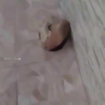 Oiee, primeiro post aqui, dsclp se e repost pepo :(