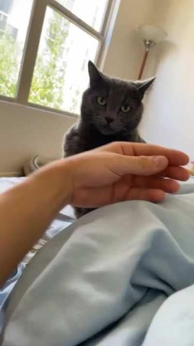 Hungry for a taste of wrist