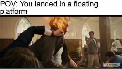 Chaos in floating platform