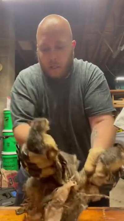 Как такое могло произойти?