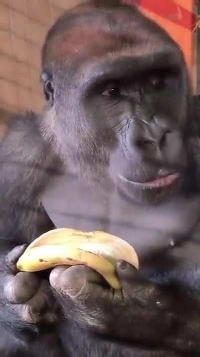 Life Hack de supervivencia... XD