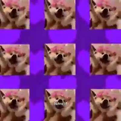 Kita kulang Paki up vote