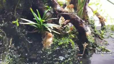 Aquarium Tek! Thought I'd have a go at combining hobbies!