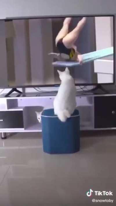 Cat trips people with his powers