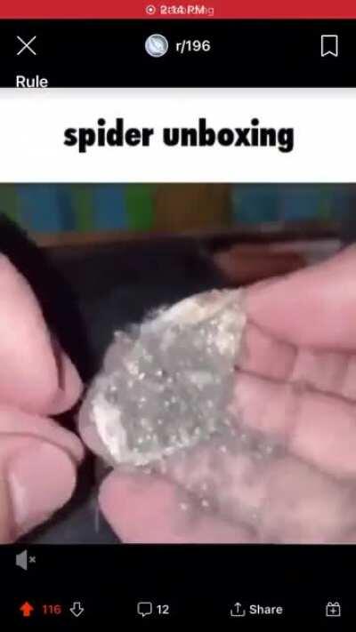 Thanks I hate spider unboxing