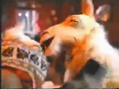 El anuncio más raro de la historia