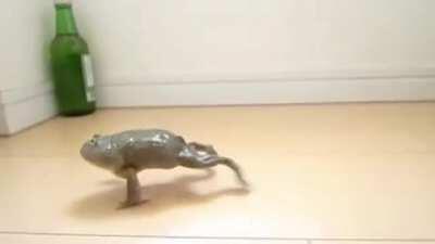 destroy the ruling class