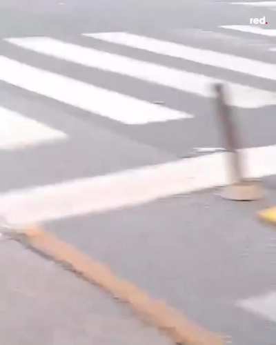 Uma aposentada argentina em Buenos Aires enfrenta a polícia de choque de Javier Milei mesmo com eles atirando nela.